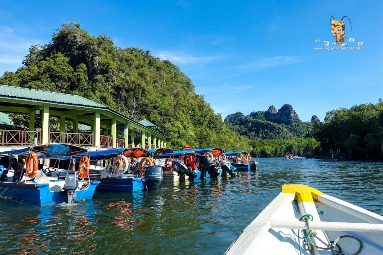 Jelajahi Ekosistem Mangrove Langkawi yang Eksotis dengan Mangrove Tour